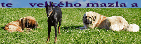Banner Banner Mikroazyl Vlčáry z.s. www.vlcary.cz